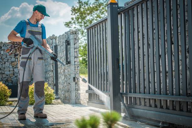 Best Soft Washing  in Stony Point, MI